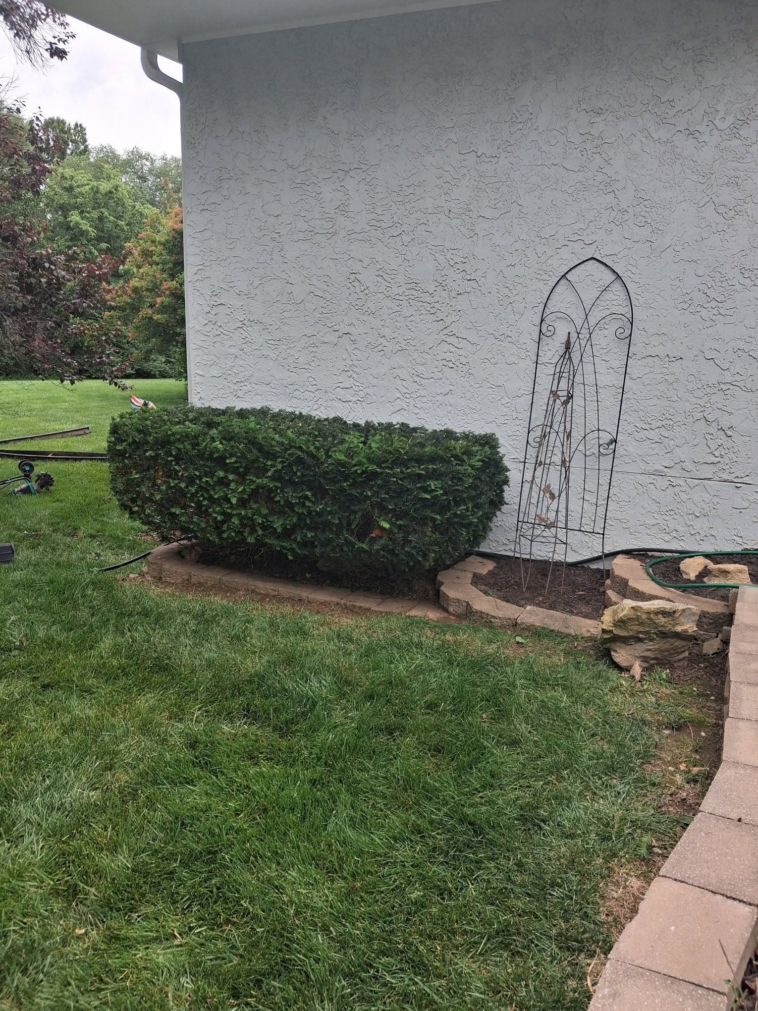 bush after